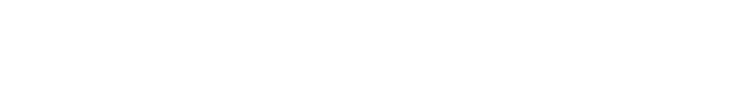 NETLINK AKSES